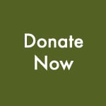 Donate now-blog