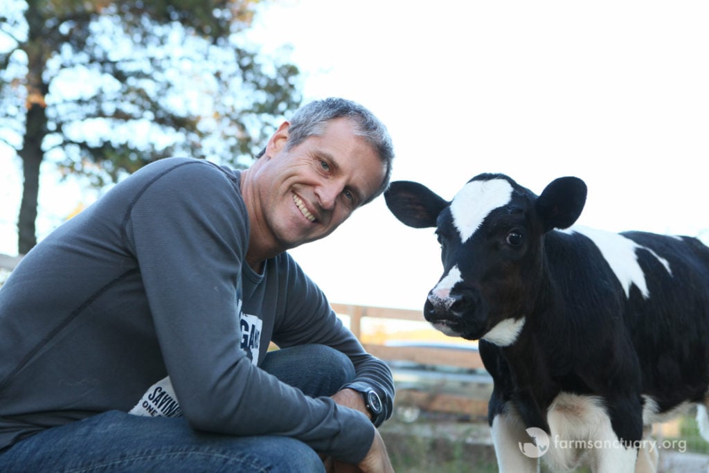 Gene Baur and rescued dairy calf Ari