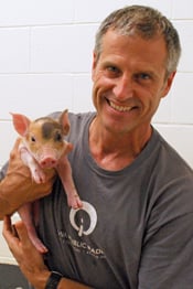 Gene Baur with rescued pig
