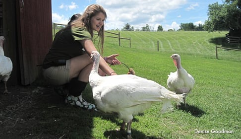 FSNY_Wendy_with_turkeys_2_CREDIT_Denise_Goodman