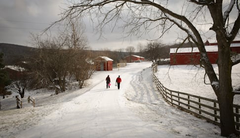 2015_01-05_FSNY_Mike_and_Jill_caregivers_DSC_0058_CREDIT_Farm_Sanctuary