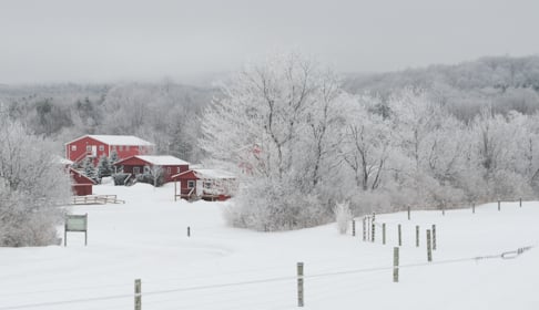 2015_02-10_FSNY_DSC_0325_CREDIT_Farm_Sanctuary