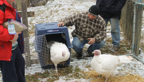 2015_12-21_FSNY_Sven_Jedidiah_Amos__Perry_Hill_009_CREDIT_Farm_Sanctuary