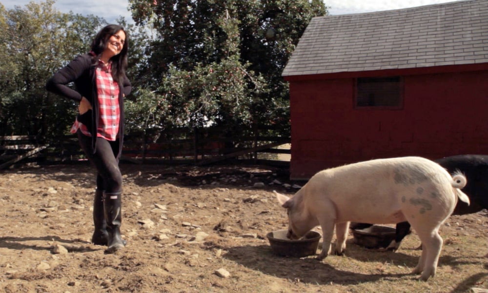 Tracey Stewart with adopted pigs Maybelle and Anna